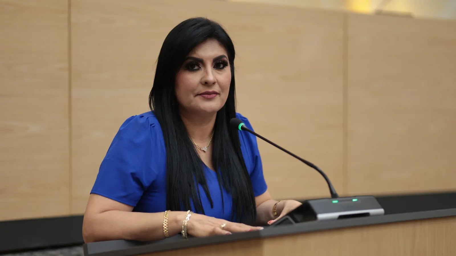 delfina-pozos-cortesia-congreso