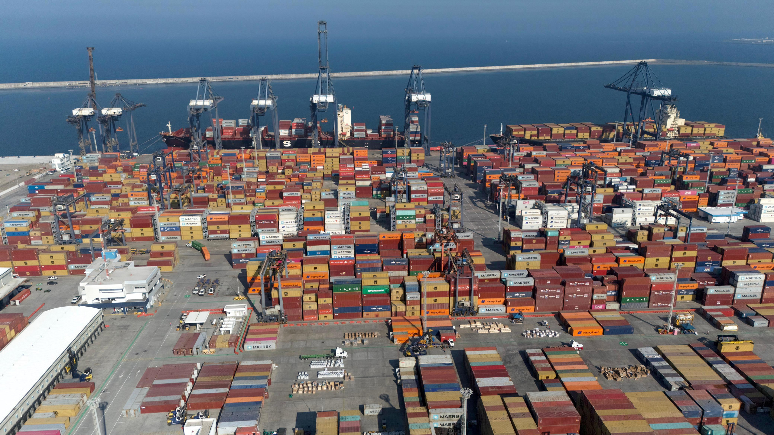 WhatsApp Image 2026-02-17 at 08.29.52