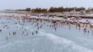 WhatsApp Image 2026-04-03 at 19.50.49