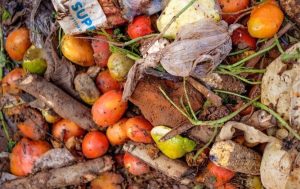 comida-alimentos-desperdicio-1