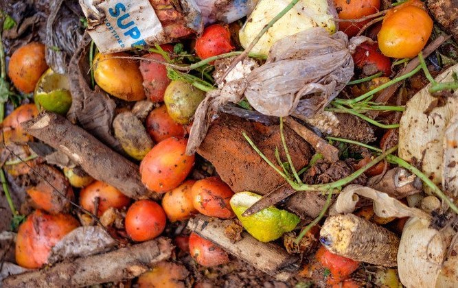 comida-alimentos-desperdicio-1
